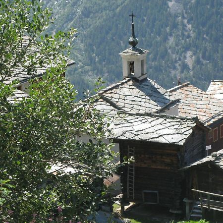 Gasenried Alpia 26 - Zwei Zimmerwohnung In Traditionellem Walliser Haus מראה חיצוני תמונה