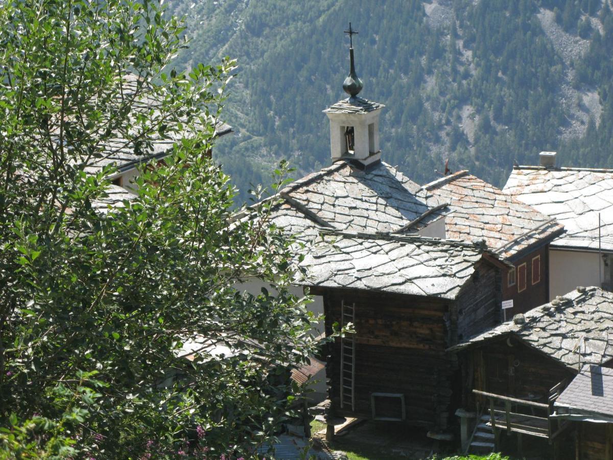 Gasenried Alpia 26 - Zwei Zimmerwohnung In Traditionellem Walliser Haus מראה חיצוני תמונה