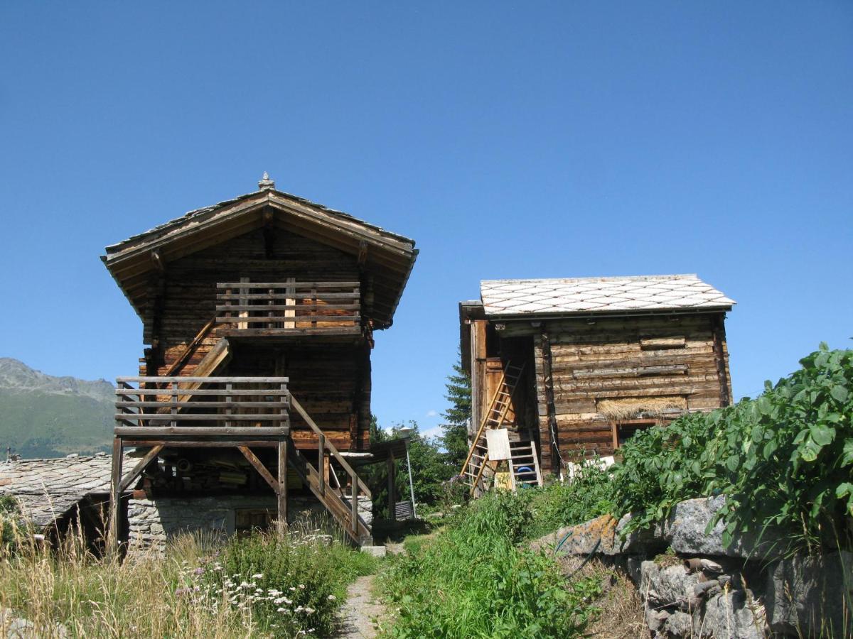 Gasenried Alpia 26 - Zwei Zimmerwohnung In Traditionellem Walliser Haus מראה חיצוני תמונה